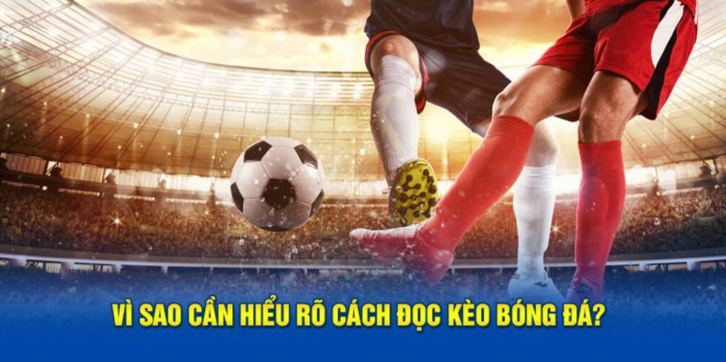 Chinh phục đỉnh cao bóng đá nhờ cách đọc kèo chuẩn từ nhà cái i9bet